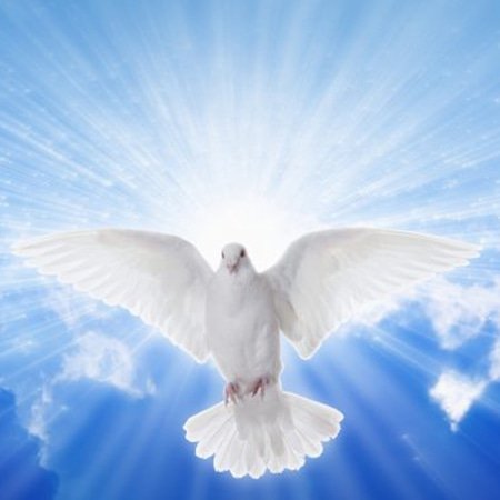 colombe esprit saint dans le ciel bleu